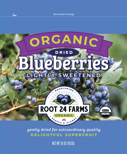 root24 dried organic blueberries lightly sweetened