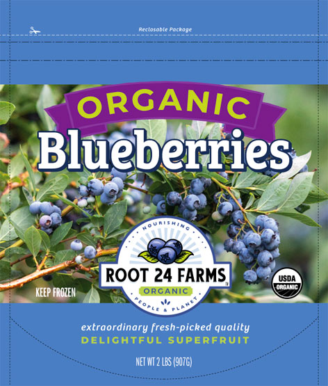 root 24 frozen organic blueberries