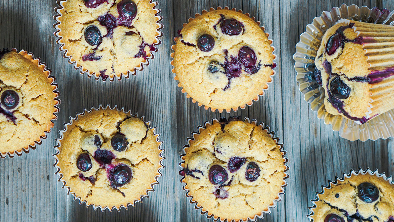 gluten free blueberry protein muffins