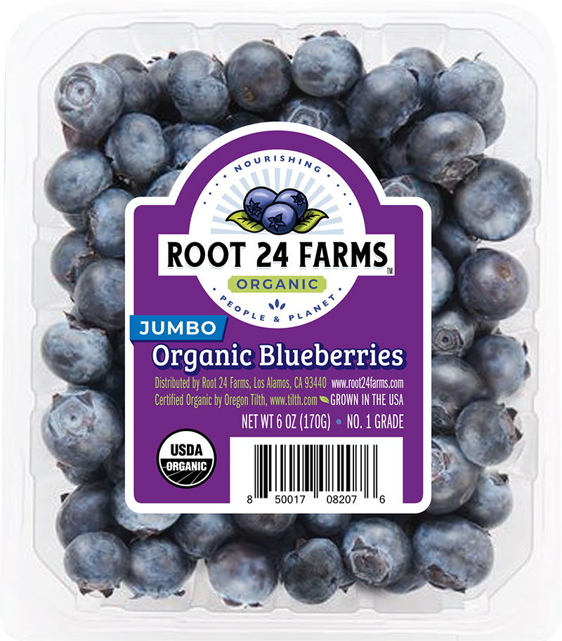 root 24 farms jumbo organic blueberries