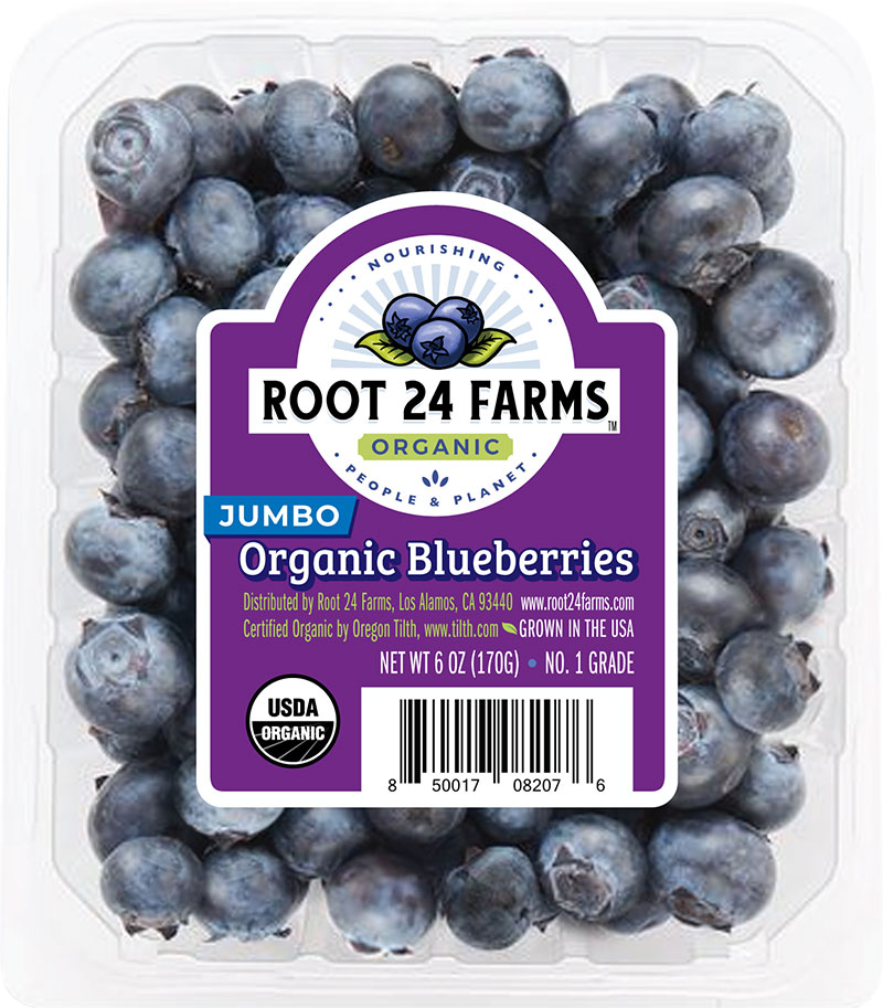 Fresh Organic Blueberries Root 24 Farms Finest Organic Blueberries