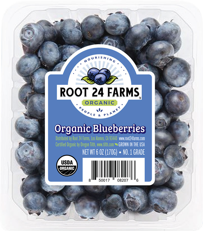 root 24 farms organic blueberries